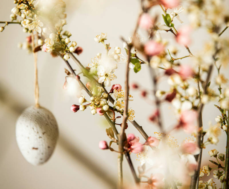 Frohe Ostern